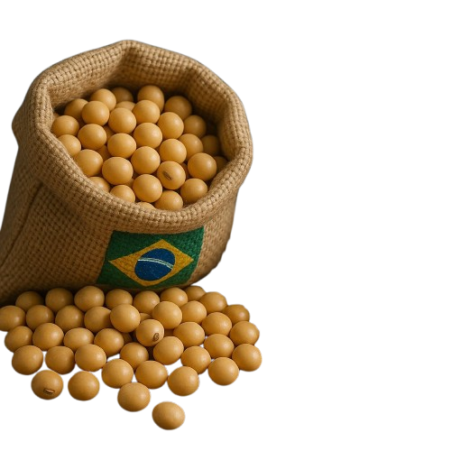 Brazilian Soybean exporters
